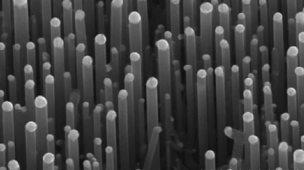 Новое гидрофобное нанопокрытие останется сухим под водой в течение месяцев
